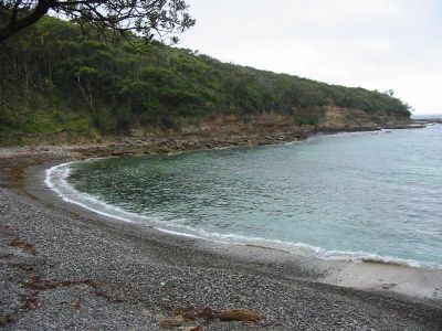 Cliquez pour voir l'image en taille relle