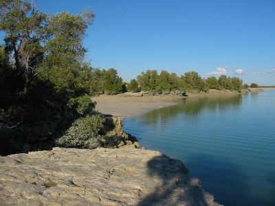 Cliquez pour voir l'image en taille relle
