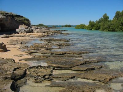 Cliquez pour voir l'image en taille relle