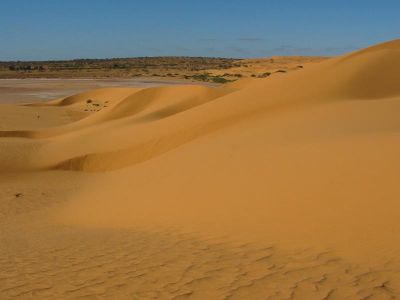 Cliquez pour voir l'image en taille relle