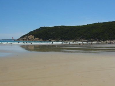 Cliquez pour voir l'image en taille relle