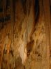 10 dcembre 2005 - Yarrangobilly Caves (23)_petit.jpg