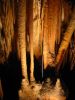 10 dcembre 2005 - Yarrangobilly Caves (25)_petit.jpg