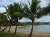 10_11_Shute_Harbour_et_Airlie_Beach (5).jpg