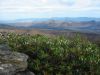 11 et 12 mars 2006 - The Grampians (121)_petit.jpg
