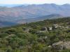 11 et 12 mars 2006 - The Grampians (125)_petit.jpg
