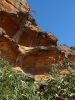 11 et 12 mars 2006 - The Grampians (154)_petit.jpg