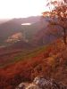 11 et 12 mars 2006 - The Grampians (86)_petit.jpg