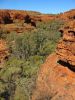 14_15_Watarrka_NP_Kings_Canyon (17).jpg
