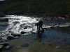16 au 18 novembre 2005 - Kosciuszko National Park (108)_petit.jpg