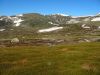 16 au 18 novembre 2005 - Kosciuszko National Park (120)_petit.jpg