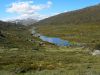 16 au 18 novembre 2005 - Kosciuszko National Park (63)_petit.jpg