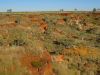 16_17_De_Fitzroy_Crossing_a_Halls_Creek (0).jpg