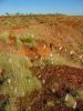 16_17_De_Fitzroy_Crossing_a_Halls_Creek (2).jpg
