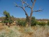 16_Geikie_Gorge_NP (4).jpg