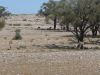 17 octobre 2005 - De White Cliffs  Tibooburra (62)_petit.jpg