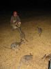 17_18_Camping_au_milieu_wallabies (3).jpg