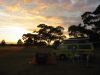 17_18_Camping_au_milieu_wallabies (6).jpg