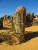 18_Nambung_NP_The_Pinnacles (1).jpg