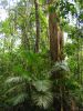 1_4_The_Tableland (24).jpg