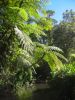 1_4_The_Tableland (31).jpg