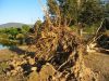 2 dcembre 2005 - Orage  Yackandandah (17)_petit.jpg