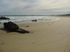 20 dcembre 2005 - Mallacoota (18)_petit.jpg