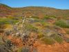21_Kalbarri_Coastal_Gorges (10).jpg