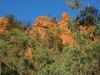 22_23_Telowie_Gorge_CP (3).jpg