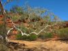 22_Kalbarri_NP (12).jpg