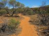 22_Kalbarri_NP (13).jpg