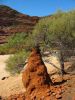 22_Kalbarri_NP (6).jpg