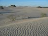 23 et 24 octobre 2005 - Mungo National Park (37)_petit.jpg