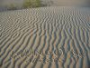 23 et 24 octobre 2005 - Mungo National Park (38)_petit.jpg