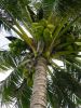 23_De_Townsville_Cairns (15).jpg