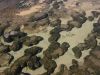 23_Stromatolites_Shell_Block_Quarry (7).jpg