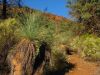 24_25_Flinders_Ranges_NP (1).jpg