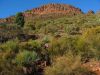24_25_Flinders_Ranges_NP (3).jpg