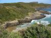 24_25_Tasman_NP (8).jpg
