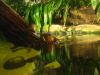 25_Aquarium_de_Sydney (1).jpg