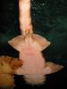 25_Aquarium_de_Sydney (12).jpg