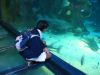 25_Aquarium_de_Sydney (16).jpg