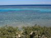 27_1_Lady_Musgrave_Island (18).jpg