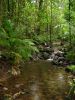 27_Mossman_Gorge (1).jpg