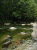 27_Mossman_Gorge (2).jpg