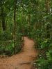 27_Mossman_Gorge (4).jpg