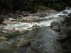 27_Mossman_Gorge (5).jpg