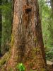 27_Tahume_Forest_Reserve (3).jpg