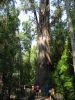 27_Tahume_Forest_Reserve (9).jpg