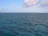 28_Balade_sur_la_barriere_de_corail (13).jpg